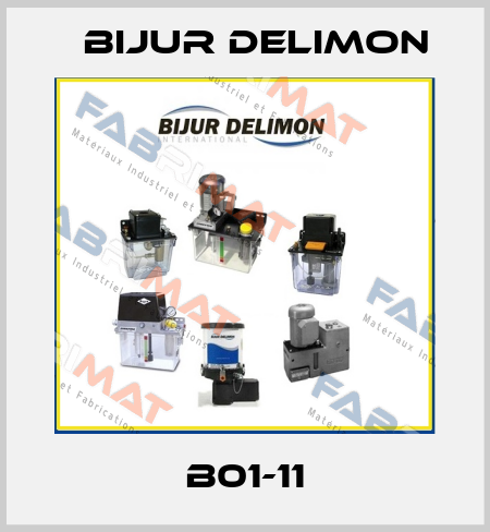 B01-11 Bijur Delimon