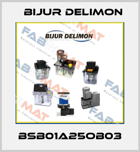 BSB01A25OB03 Bijur Delimon