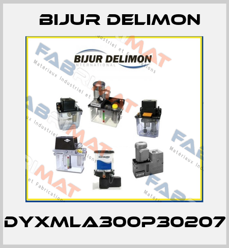 DYXMLA300P30207 Bijur Delimon