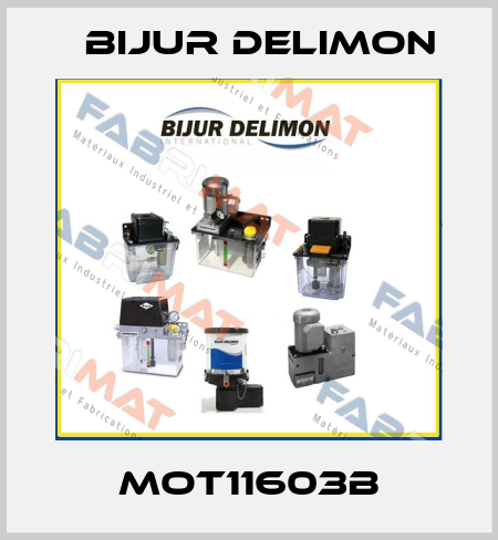 MOT11603B Bijur Delimon