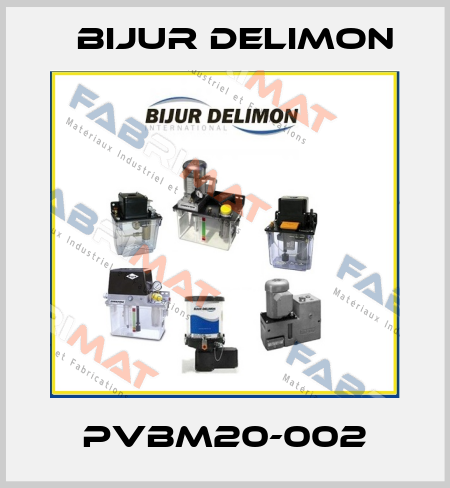 PVBM20-002 Bijur Delimon