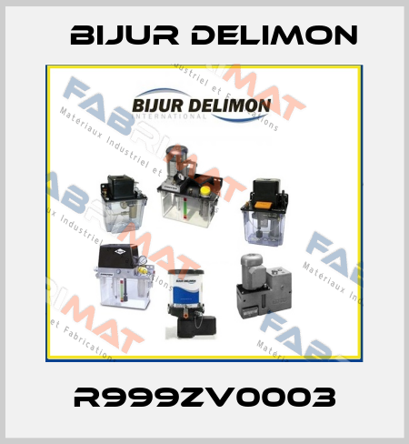 R999ZV0003 Bijur Delimon