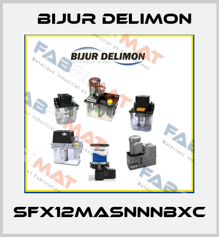 SFX12MASNNNBXC Bijur Delimon