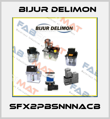 SFX2PBSNNNACB Bijur Delimon