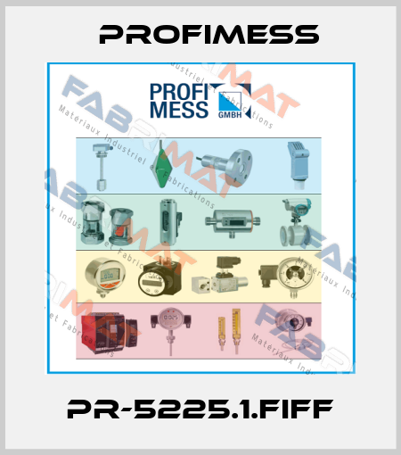 PR-5225.1.FIFF Profimess