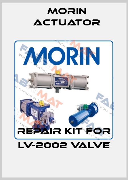 REPAIR KIT FOR LV-2002 VALVE Morin Actuator