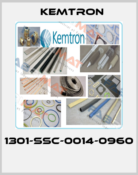 1301-SSC-0014-0960  KEMTRON