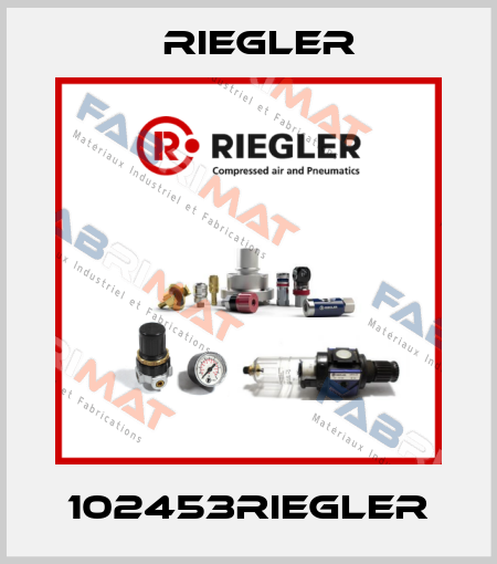 102453RIEGLER Riegler