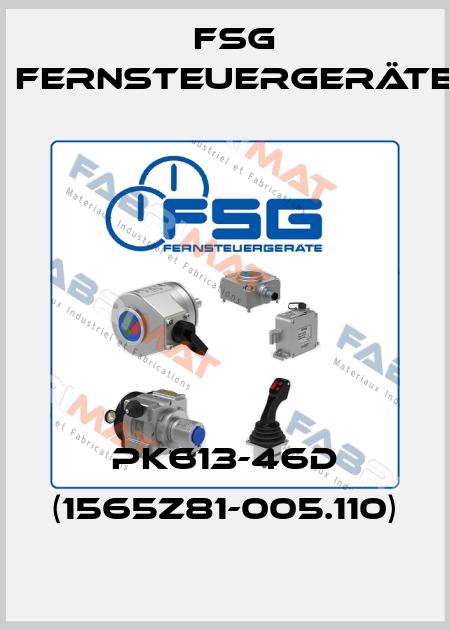 PK613-46d (1565Z81-005.110) FSG Fernsteuergeräte