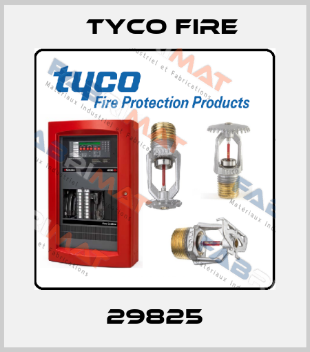 29825 Tyco Fire