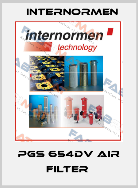 PGS 654DV AIR FILTER  Internormen