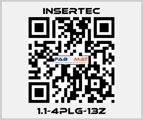 1.1-4PLG-13Z Insertec