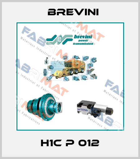 H1C P 012 Brevini