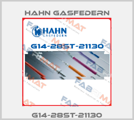 G14-28ST-21130 Hahn Gasfedern