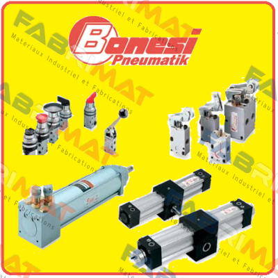 S13A/8SA obsolete / alternative standard version S13A8 Bonesi Pneumatic