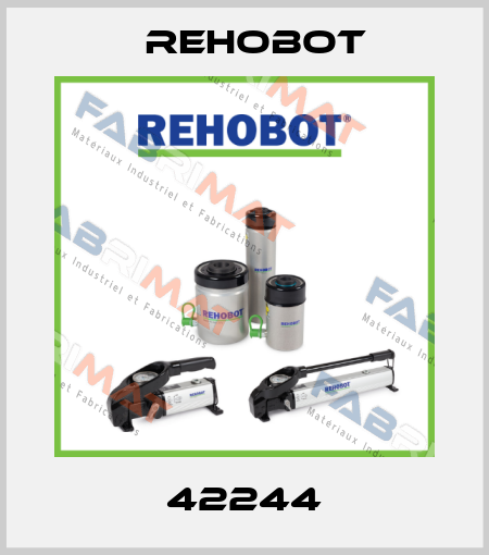42244 Rehobot