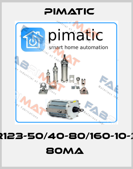 PTKR123-50/40-80/160-10-3024 80MA  Pimatic