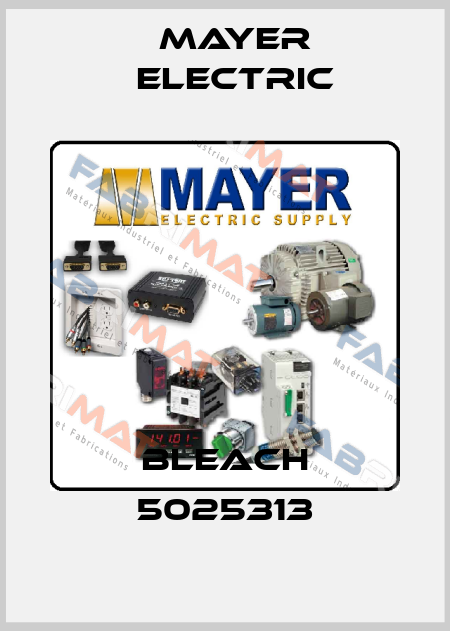 BLEACH 5025313 Mayer Electric