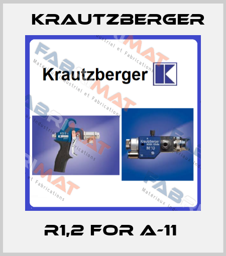 R1,2 FOR A-11  Krautzberger