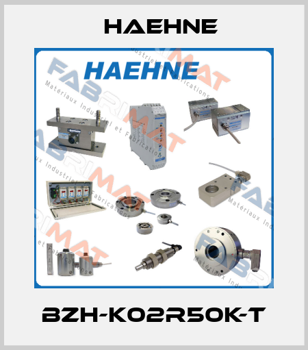 BZH-K02R50k-T HAEHNE