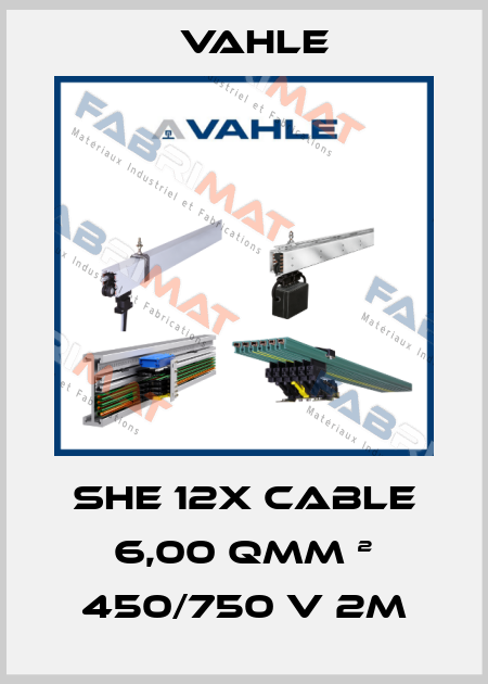 SHE 12x Cable 6,00 Qmm ² 450/750 V 2m Vahle