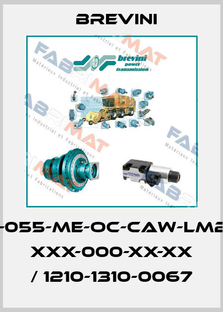 SH11C-M-055-ME-OC-CAW-LM2-RV-V-X XXX-000-XX-XX / 1210-1310-0067 Brevini