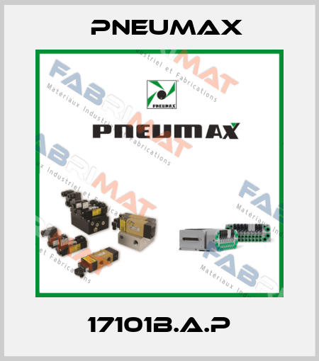 17101B.A.P Pneumax