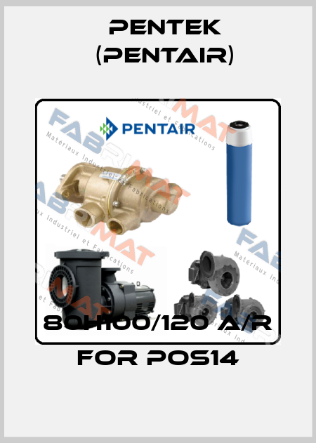 80H100/120 A/R for pos14 Pentek (Pentair)