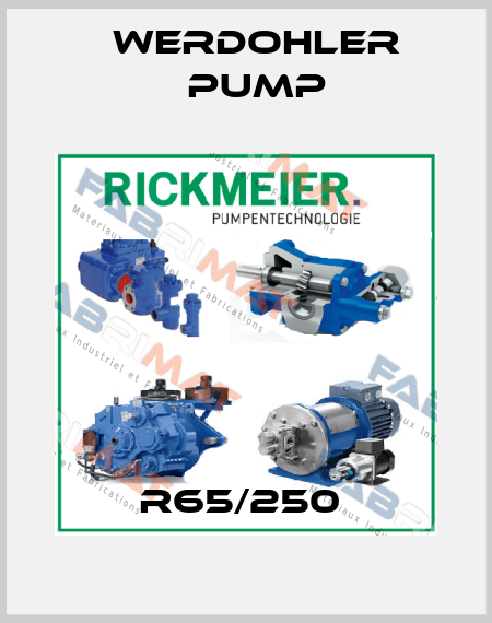 R65/250  Werdohler Pump