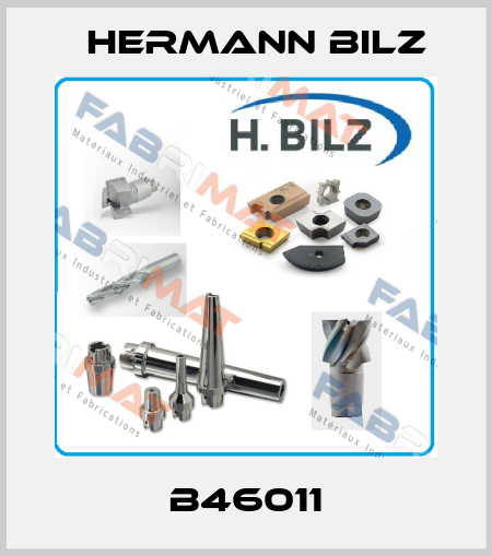 B46011 Hermann Bilz