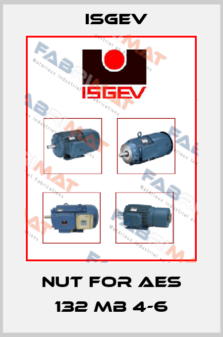 nut for AES 132 MB 4-6 Isgev