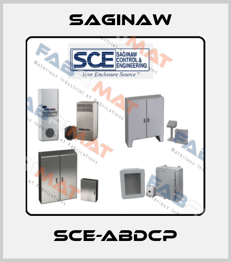 SCE-ABDCP Saginaw