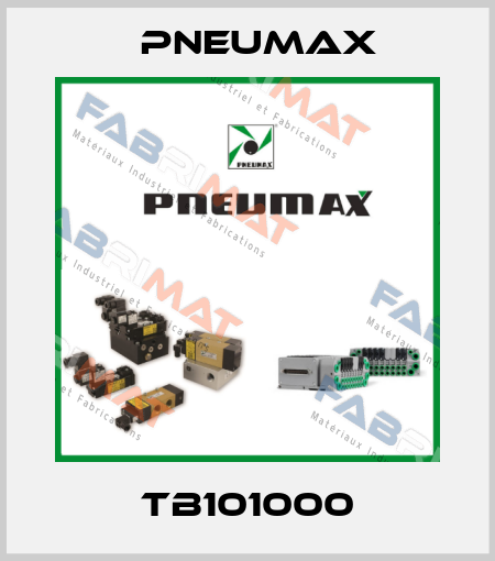 TB101000 Pneumax