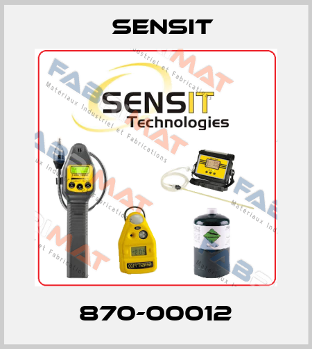 870-00012 Sensit