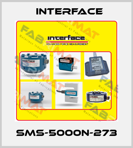 SMS-5000N-273 Interface