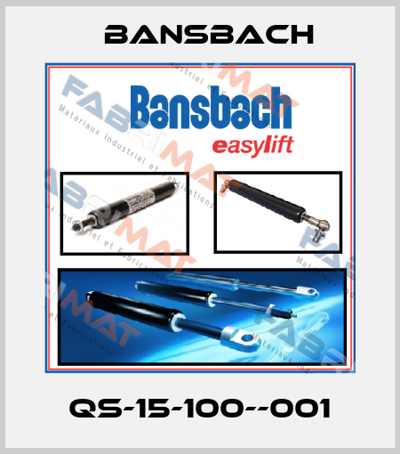 QS-15-100--001 Bansbach