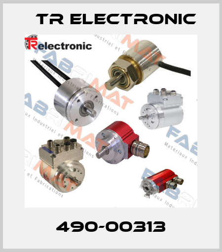 490-00313 TR Electronic