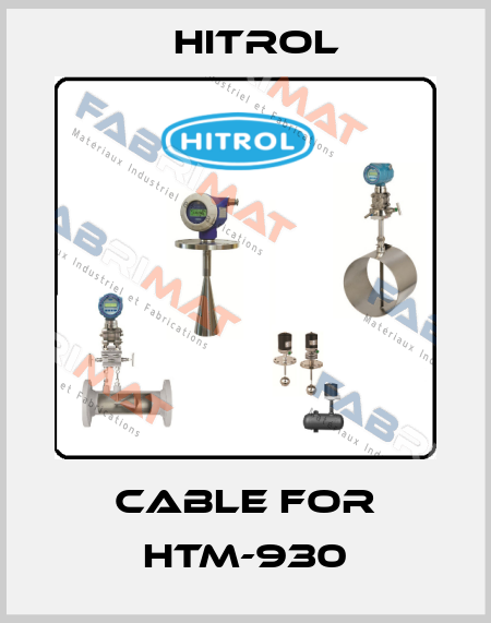 cable for HTM-930 Hitrol