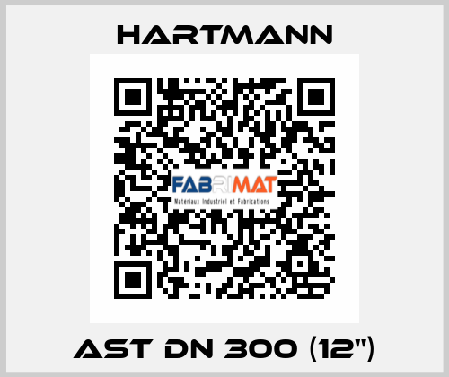 AST DN 300 (12") Hartmann