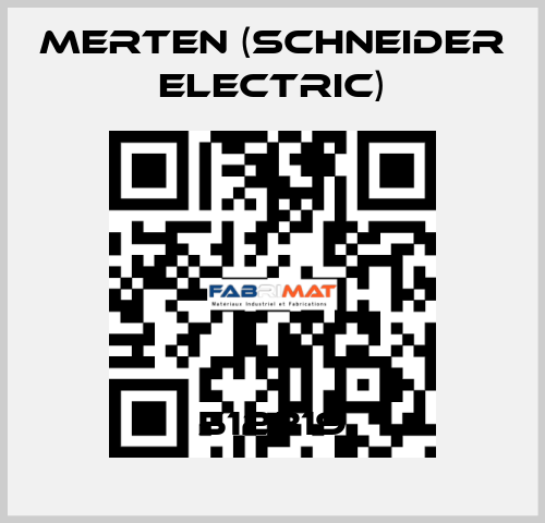 512319 Merten (Schneider Electric)