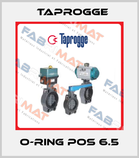 O-ring Pos 6.5 Taprogge