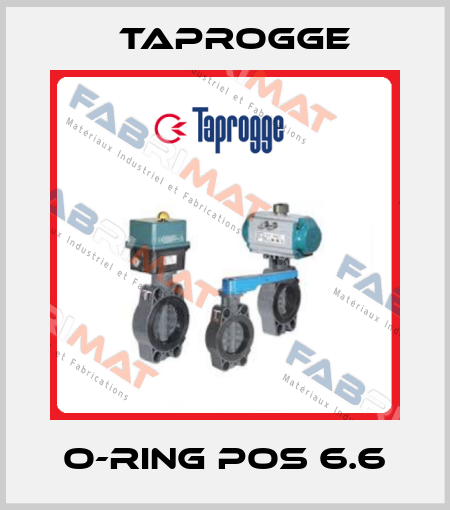 O-ring Pos 6.6 Taprogge