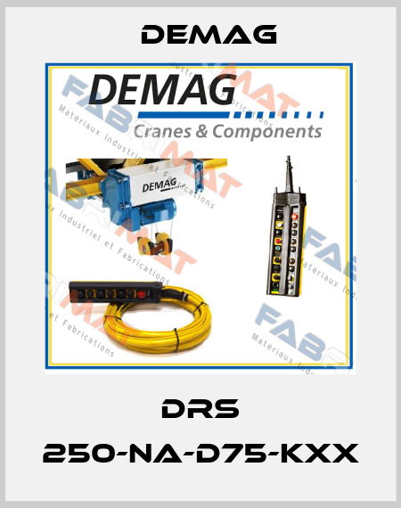 DRS 250-NA-D75-KXX Demag