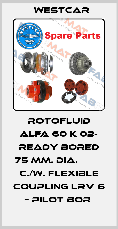 ROTOFLUID ALFA 60 K 02- READY BORED 75 MM. DIA.            C./W. FLEXIBLE COUPLING LRV 6 – PILOT BOR  Westcar