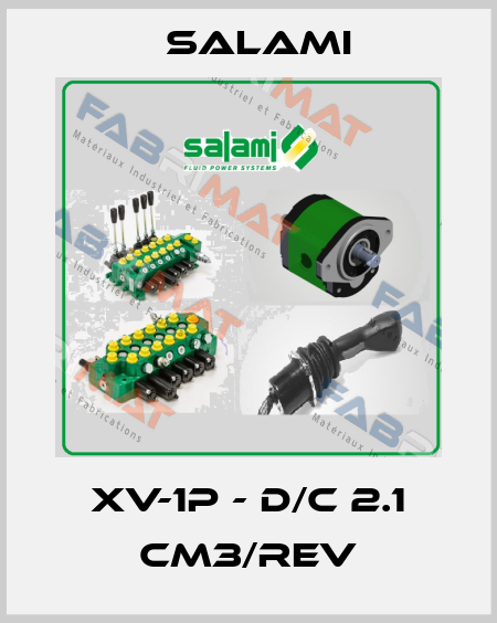 XV-1P - D/C 2.1 CM3/REV Salami
