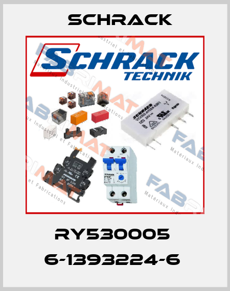 RY530005  6-1393224-6  Schrack