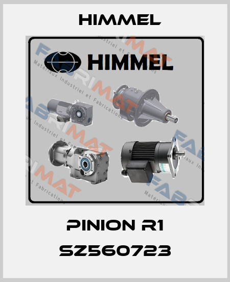 Pinion R1 SZ560723 HIMMEL