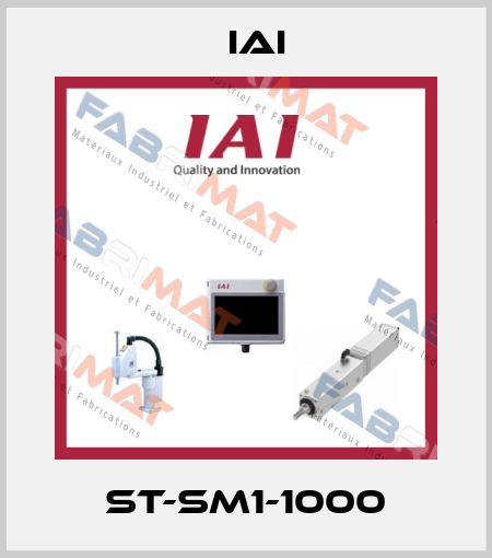 ST-SM1-1000 IAI