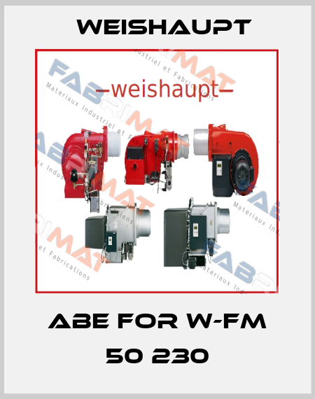 ABE For W-FM 50 230 Weishaupt