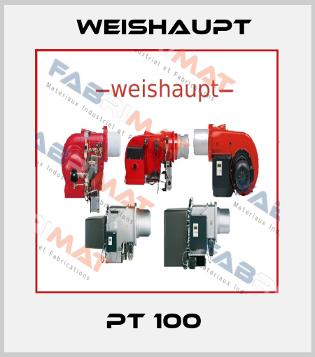  PT 100  Weishaupt